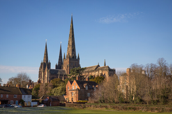 Majestic Beauty of Lichfield Cathedral Picture Board by Alan Tunnicliffe