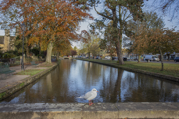 Bourton-on-the-Water Picture Board by Alan Tunnicliffe