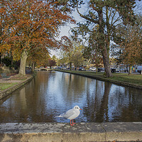 Buy canvas prints of Bourton-on-the-Water by Alan Tunnicliffe