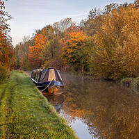 Misty Morning Canal Landscape