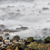 Buy canvas prints of  Foggy morning by Alan Tunnicliffe