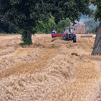 Buy canvas prints of Baling straw by Alan Tunnicliffe