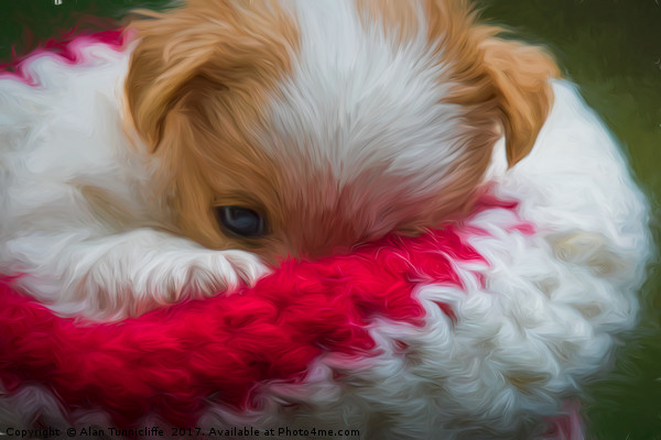 Puppy wrapped in wooly hat Picture Board by Alan Tunnicliffe