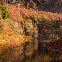 Buy canvas prints of Autumn reflections by Alan Tunnicliffe