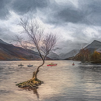 Buy canvas prints of Solitude of Nature by Alan Tunnicliffe