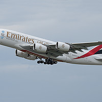 Buy canvas prints of Emirates Airbus by Alan Tunnicliffe