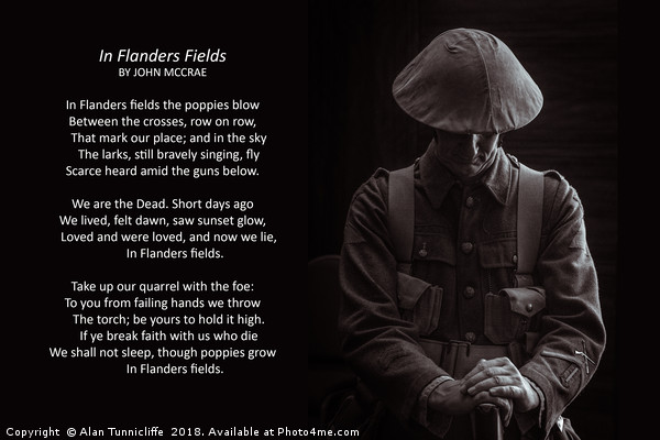 In Flanders Fields Picture Board by Alan Tunnicliffe