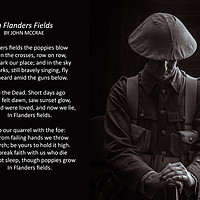 Buy canvas prints of In Flanders Fields by Alan Tunnicliffe
