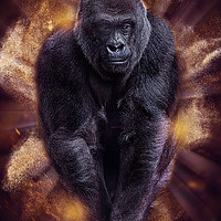 Buy canvas prints of Silverback gorilla by Alan Tunnicliffe