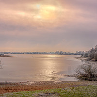 Buy canvas prints of Chasewater by Alan Tunnicliffe