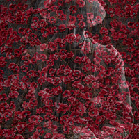 Buy canvas prints of WW1 tribute by Alan Tunnicliffe