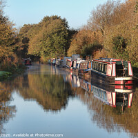 Buy canvas prints of Early morning on the canal by Alan Tunnicliffe
