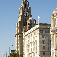 Buy canvas prints of Majestic Liver Bird Clock Tower by Alan Tunnicliffe
