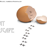 Buy canvas prints of the great eggscape by Alan Tunnicliffe