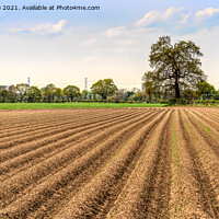 Buy canvas prints of outdoor field by Alan Tunnicliffe