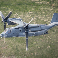 Buy canvas prints of USAF osprey by Alan Tunnicliffe