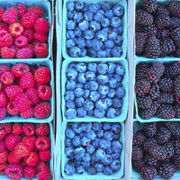 Buy canvas prints of Farm Fresh Berries by Ram Vasudev