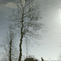 Buy canvas prints of The World in a Puddle by Jane Hitchcock