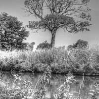 Buy canvas prints of The Leeds Liverpool Canal, Halsall by Jane Hitchcock