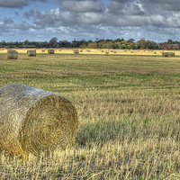 Buy canvas prints of Hay at Harvest by Jane Hitchcock
