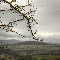 Buy canvas prints of View over the Welsh Hills by Jane Hitchcock