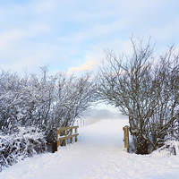 Buy canvas prints of Archway snowed in field by Susan Sanger