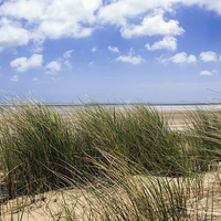 Buy canvas prints of Sandy beach dunes British Coast by Susan Sanger