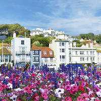 Buy canvas prints of Colourful Hastings by Susan Sanger