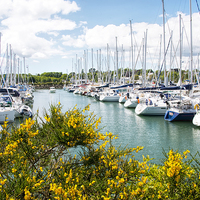 Buy canvas prints of Marina in Brittany France by Susan Sanger