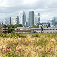 Buy canvas prints of London Docklands view from Greenwich by Susan Sanger