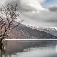 Buy canvas prints of The Lone Tree Panorama by Christine Smart