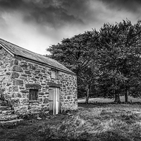 Buy canvas prints of The Abandoned Cottage by Christine Smart
