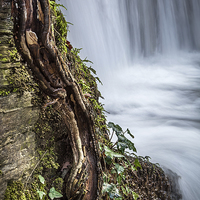 Buy canvas prints of The Stepped Waterfall, Llanrwst by Christine Smart