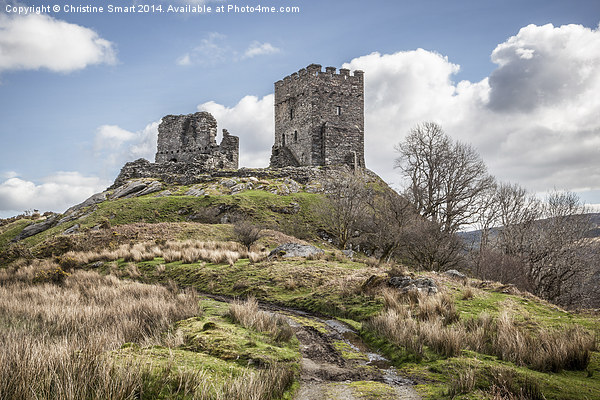 Dolwyddelan Castle a Hilltop Ruin Picture Board by Christine Smart