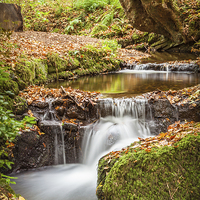 Buy canvas prints of Autumn Stream by Christine Smart