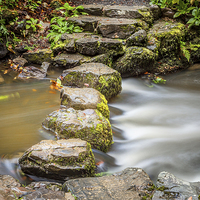 Buy canvas prints of Across the River - Stepping Stones by Christine Smart