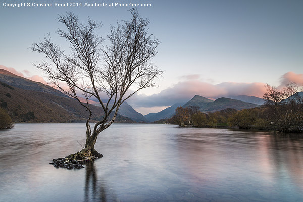  Sunset at Llyn Padarn Picture Board by Christine Smart
