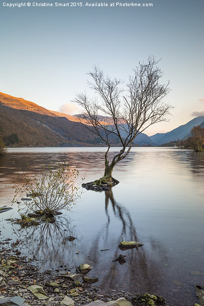  Sunset Reflections at Llyn Padarn Picture Board by Christine Smart