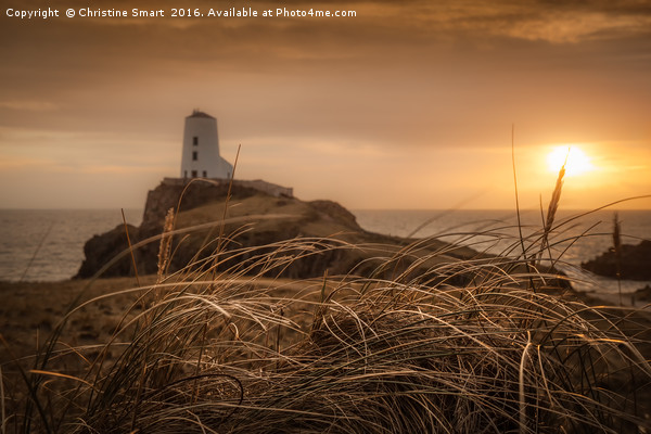 Tranquil Sunset at Llanddwyn Island - Anglesey Picture Board by Christine Smart