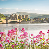 Buy canvas prints of Conwy Castle, A Splash of Colour by Christine Smart