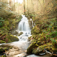 Buy canvas prints of A Woodland Walk by the Waterfall by Christine Smart