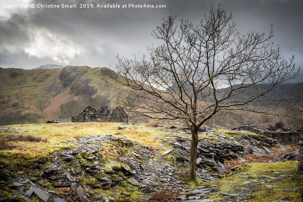 Dinorwic Slate Quarry - Time Passes By Picture Board by Christine Smart