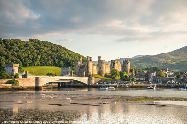Early Evening at Conwy Castle Picture Board by Christine Smart