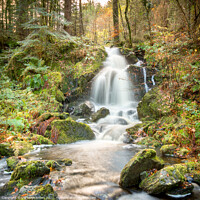 Buy canvas prints of A Sunlit Forest Autumn Waterfall - Snowdonia Lands by Christine Smart