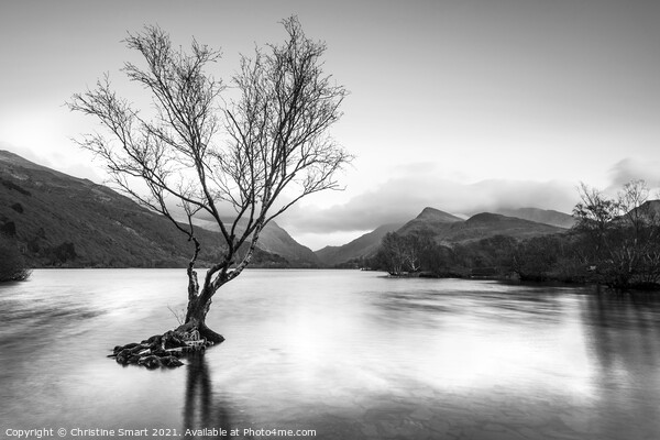 Lone Tree Sunset Long Exposure at Llyn Padarn, Llanberis- Snowdonia, North Wales Monochrome/Black and White Picture Board by Christine Smart