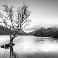 Buy canvas prints of Lone Tree Sunset Long Exposure at Llyn Padarn, Llanberis- Snowdonia, North Wales Monochrome/Black and White by Christine Smart