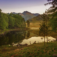 Buy canvas prints of Blea Tarn by Rich Berry