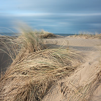 Buy canvas prints of Sand Dunes and Salty Air by Rich Berry