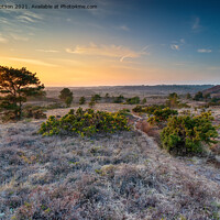 Buy canvas prints of Sunset over the heath at WInfrith by Helen Hotson