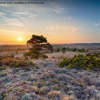 Buy canvas prints of Beautiful sunset over Winfrith Heath by Helen Hotson